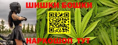 скорость Новозыбков