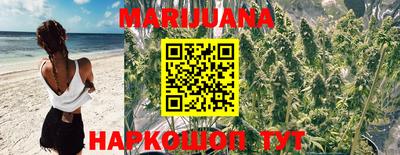 скорость Новозыбков