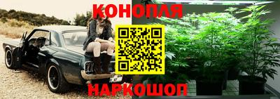 скорость Новозыбков