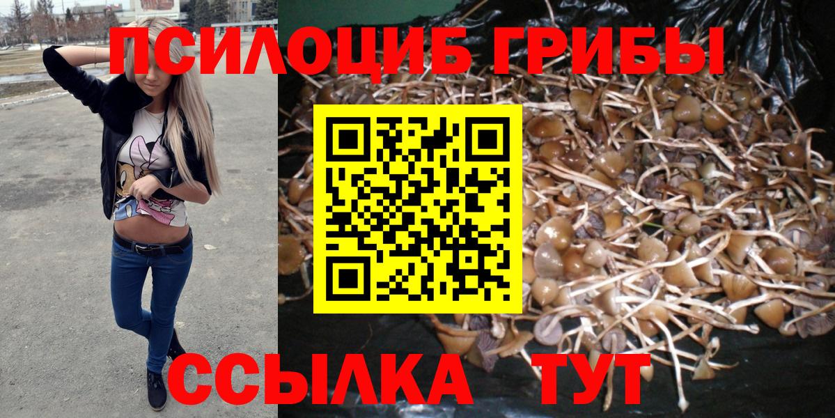 купить  цена  Галлюциногенные грибы Cubensis  Галлюциногенные грибы Cubensis  Вход с VPN  Северск 